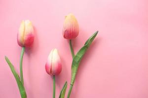 Pink colored tulip flowers on table with copy space photo