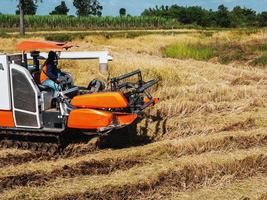 Hombre conduciendo una cosechadora en un campo foto