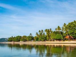 hermosa playa tropical con palmeras foto