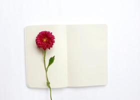 cuaderno en blanco con flor roja foto
