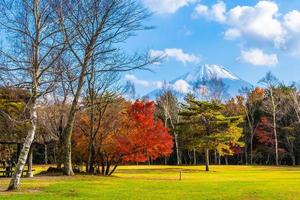 Mt. Fuji in Japan in autumn photo