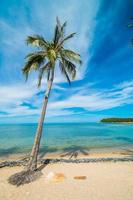 Beautiful tropical beach photo