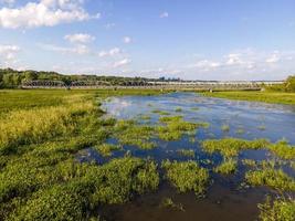 Marshy green field and wetlands photo