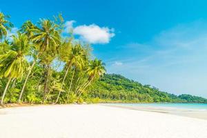 Tropical beach and sea with coconut palm trees photo