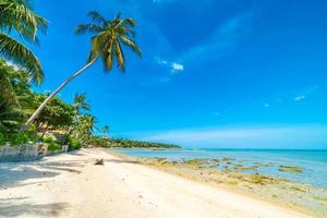 Beautiful tropical beach photo