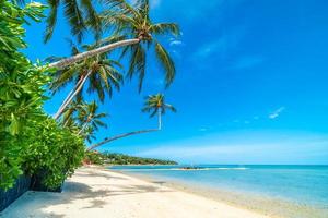 hermosa playa tropical foto