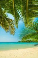 Beautiful tropical beach photo