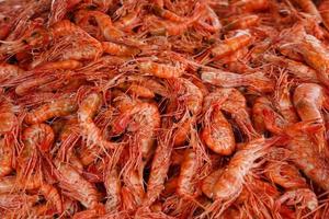 Pile of red shrimp photo