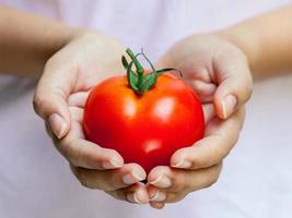 manos sosteniendo un tomate rojo foto