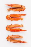 Row of crab claws photo