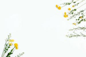 White background with pretty yellow flower frame photo