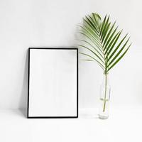 Blank frame with plant on white background photo