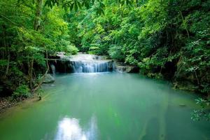 Waterfall in green forest photo