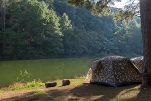 Camping tent under the pine forest in sunset at Pang-ung photo