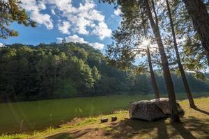 Camping tent under the pine forest near lake in sunset photo