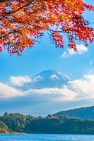 monte. fuji en japón en otoño foto