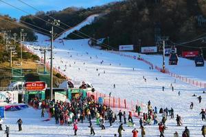People waiting for ski lift with people skiing in the background at Vivaldi Park Ski World in Korea photo
