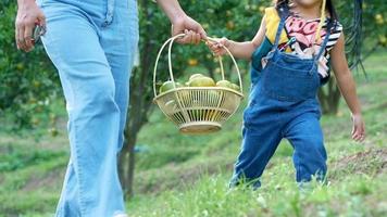 felice madre e figlia che trasportano cesto pieno di arance video