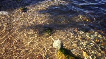 natuurlijke achtergrond met helder water op het strand video