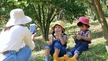 mãe usando um smartphone para tirar fotos de suas filhas sentadas no jardim de laranja. video