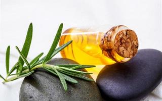 Oil bottle with rosemary and rocks photo