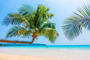 playa tropical con palmeras foto