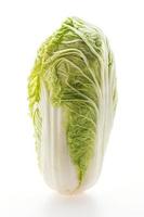 White lettuce or White cabbage on white background photo