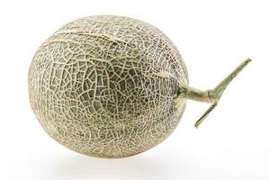 Melon or Cantaloupe on white background photo