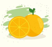 fresh and healthy orange fruit vector