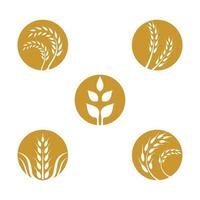 Wheat logo images set vector