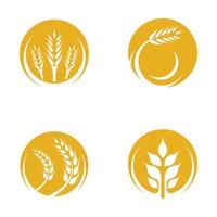 conjunto de imágenes de logotipo de trigo vector