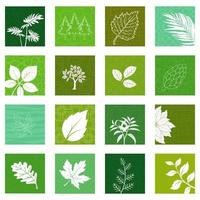Collection of nature leaves icons vector