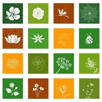 White flowers and leaves icons set isolated on different background for decorative graphic design vector