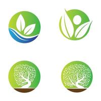 Leaf logo images vector