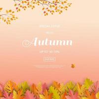 Autumn or Fall sale background with colorful leaves vector