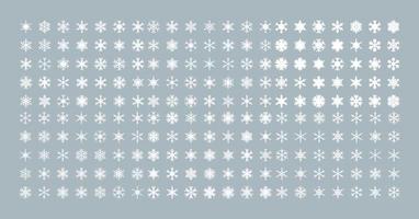 Isolated Snowflake Collection vector