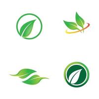 imagenes de logo de hoja vector