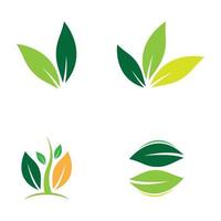 Leaf logo images vector