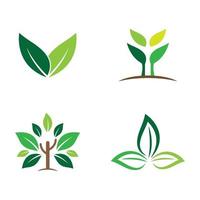 Leaf logo images vector