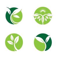 imagenes de logo de hoja vector