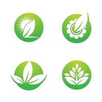 Leaf logo images vector