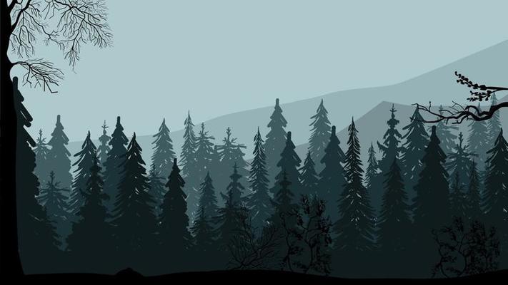 Dark pine forest, mountains and gray sky, gray evening landscape