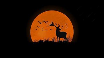 puesta de sol en el campo, silueta de ciervos, pájaros y pasto contra la luna llena naranja vector