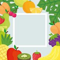 square frame with tropical fresh fruits vector