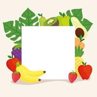 square frame with tropical fruits vector