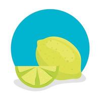 slice and whole lemon fresh and healthy fruit vector