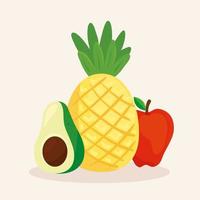 Cute tropical fresh fruits and avocado vector