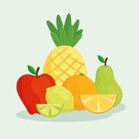 Cute tropical fresh fruits vector