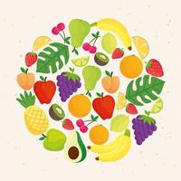 Cute tropical fresh fruits design vector