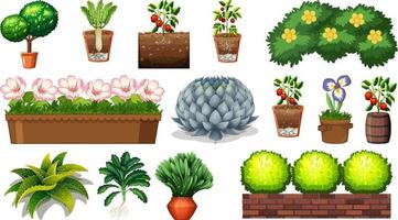 Conjunto de diferentes plantas en macetas aislado sobre fondo blanco. vector